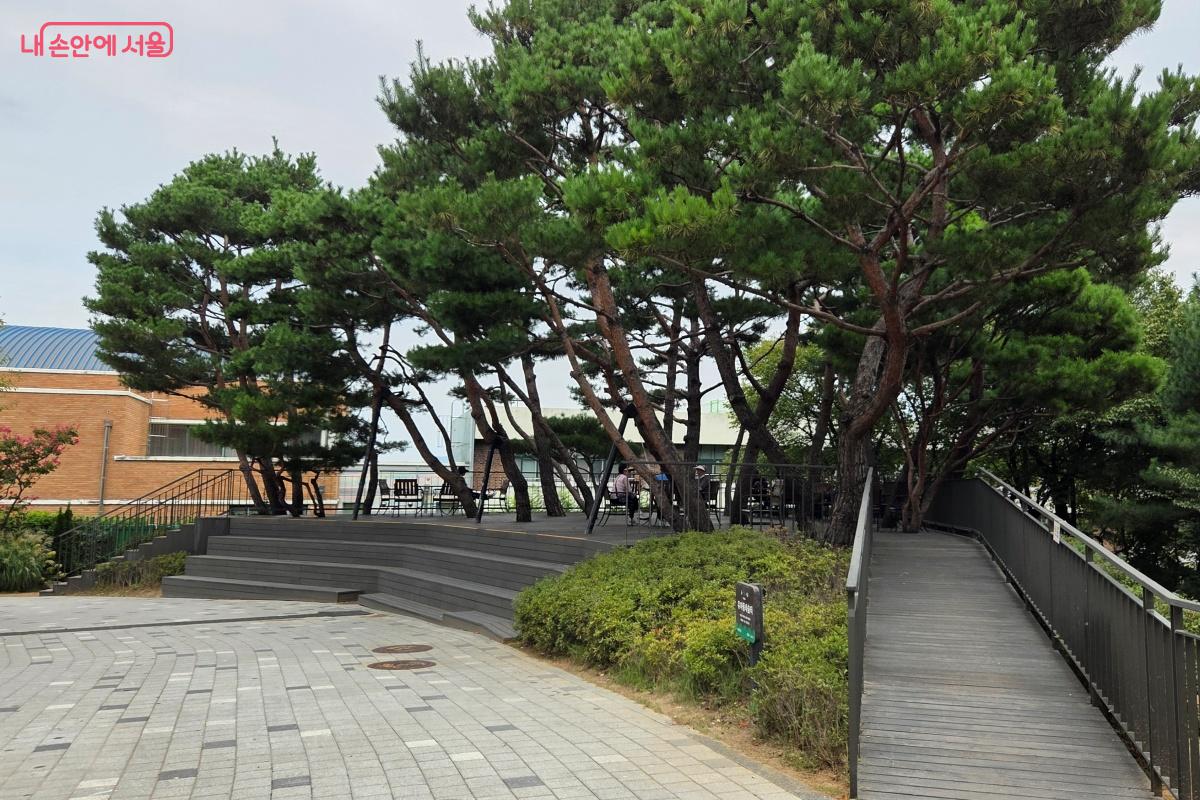 오동숲속도서관 입구에 자리한 소나무 쉼터가 보인다. &copy;김미선