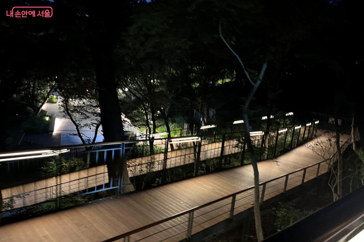 은은한 조명이 비추는 남산길을 따라 천천히 걸어본다. &copy;김연희