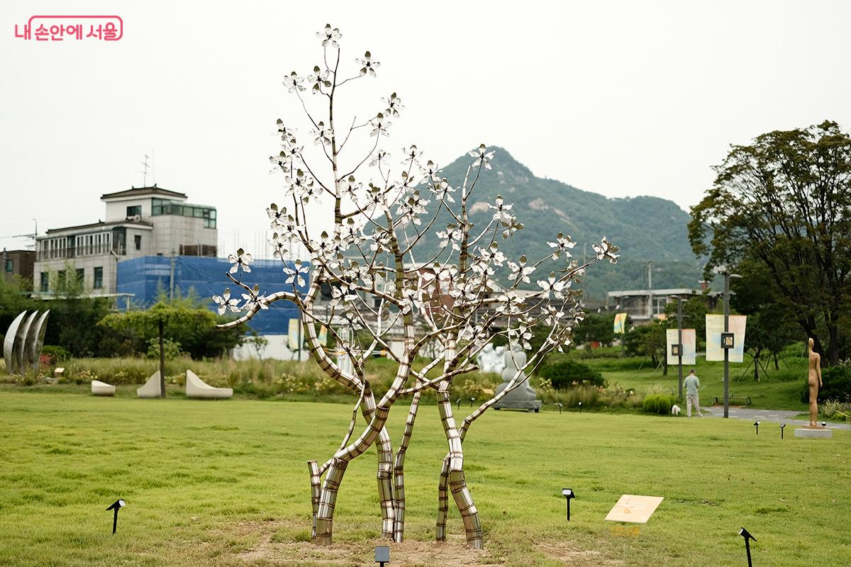 임광혁 작가의 &lsquo;매그놀리아 연리지&rsquo;, 2026 &copy;김아름