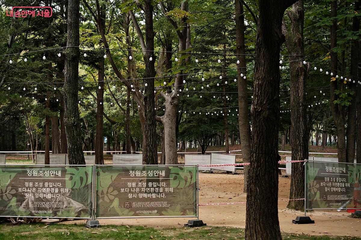 숲에 설치된 조명은 해 질 녘 풍경에 대한 기대감을 자아낸다. &copy;김아름