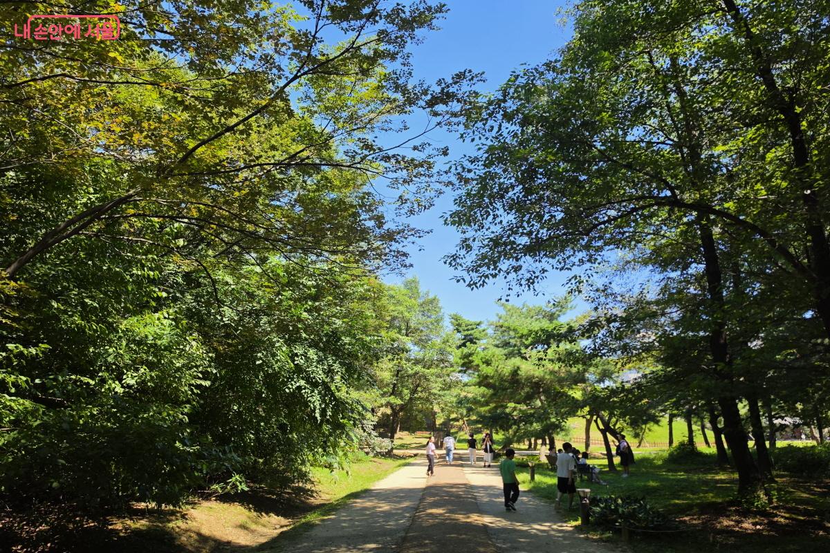도심 속 울창한 숲을 자랑하는 선정릉 ⓒ조수연
