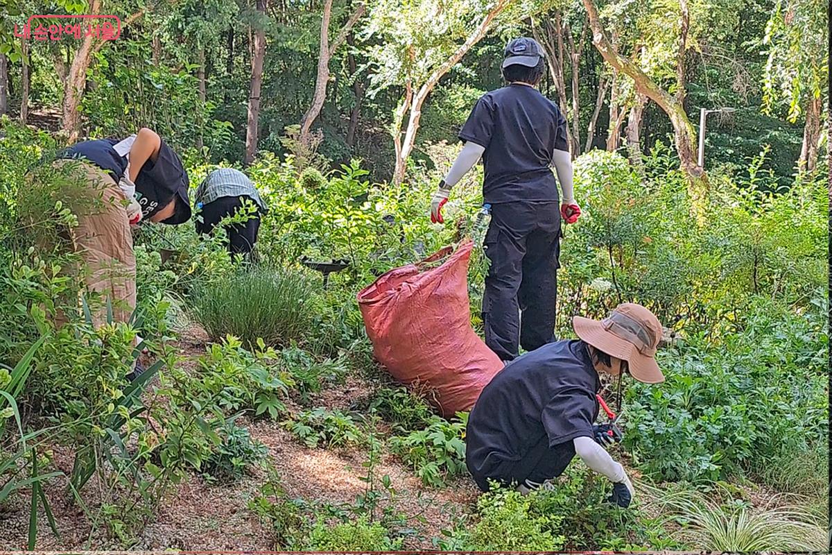 따가운 햇빛과 무더위 속에서도 잡초 제거와 화초 돌보기에 열심인 가드닝 크루 ©오도연