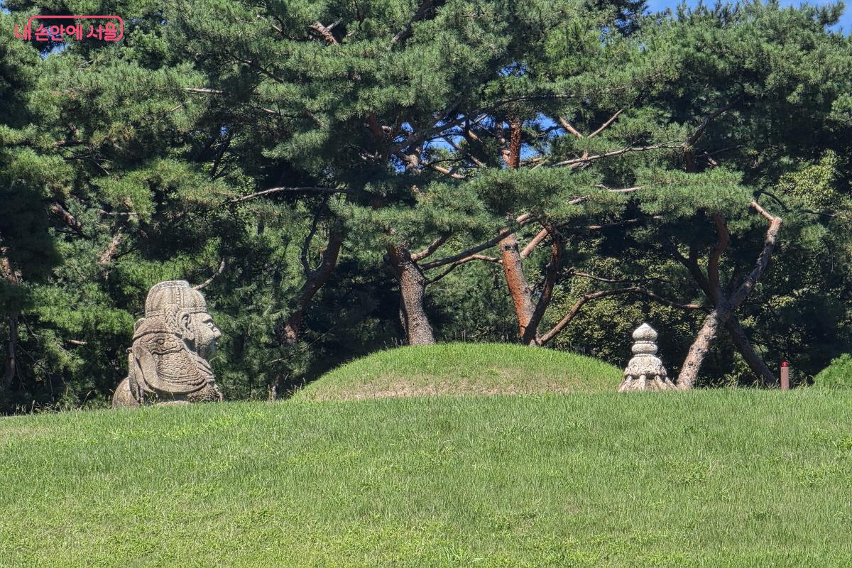 조선 제11대 왕인 중종의 능, 정릉 ⓒ조수연