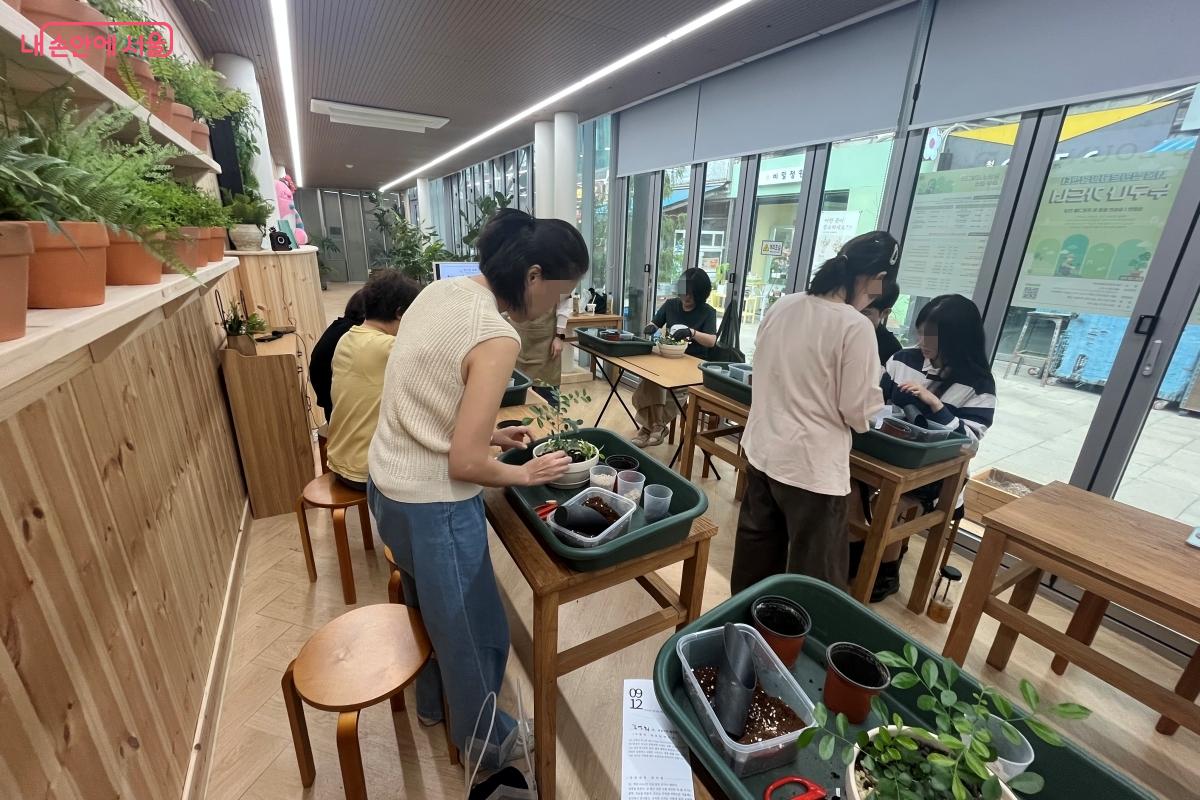 오렌지 재스민과 호야를 화분에 심고 있다. ©김연희