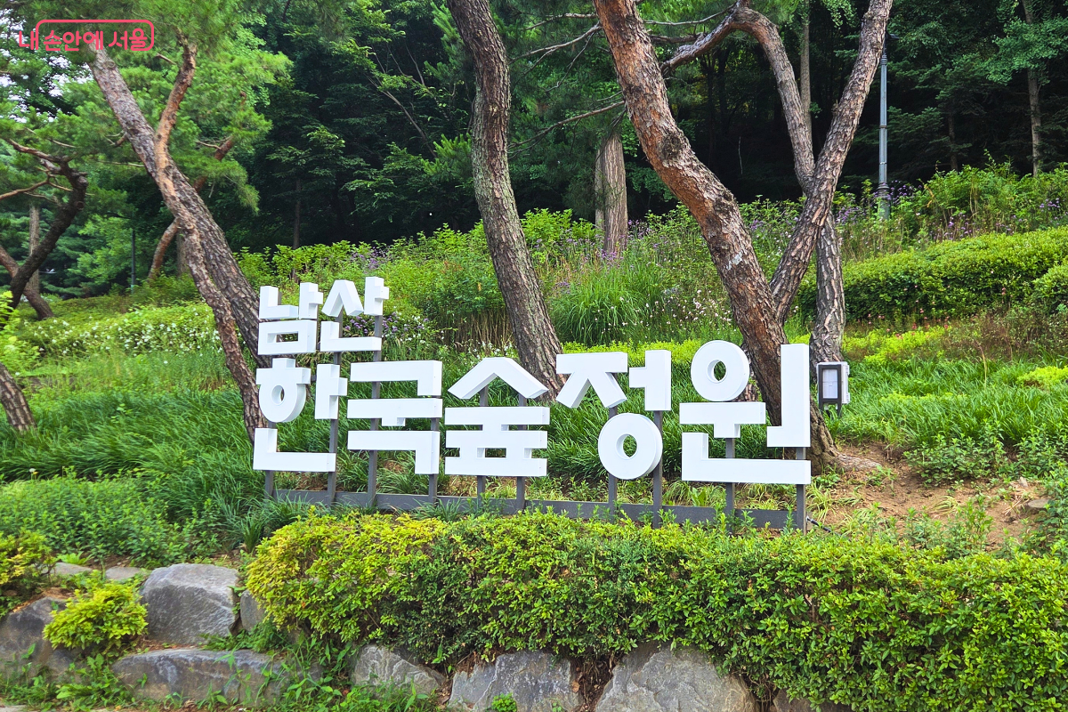 울창한 소나무와 초록빛 식물이 어우러진 남산 숲 앞에 흰색 입체 글자로 ‘남산 한국숲정원’이라는 안내 표지가 세워져 있다.