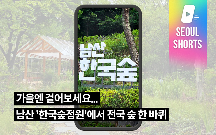 가을엔 걸어보세요...남산 '한국숲정원'에서 전국 숲 한 바퀴