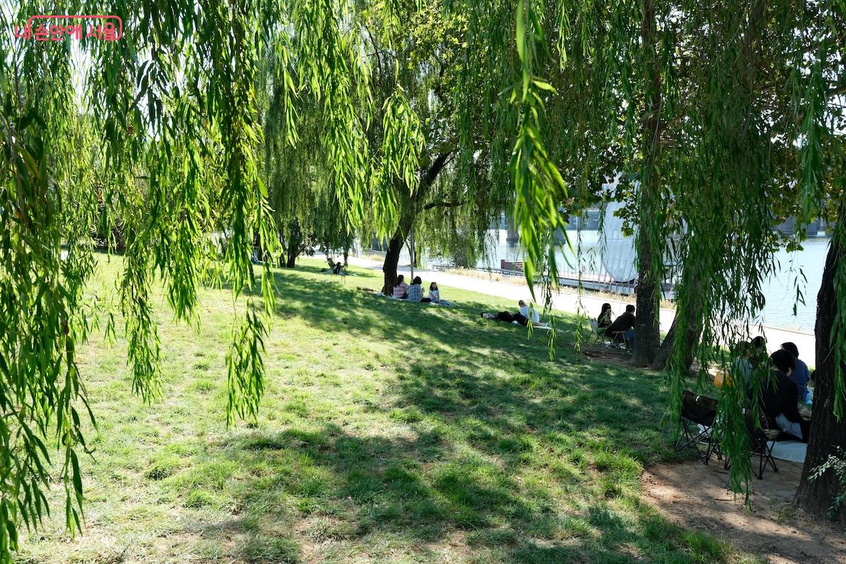 보기만 해도 기분이 좋아지는 노들섬의 초가을 풍경 &copy;임중빈