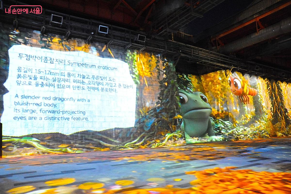 한강 네이처의 ‘꼬마 맹꽁이의 모험’ ©조수봉