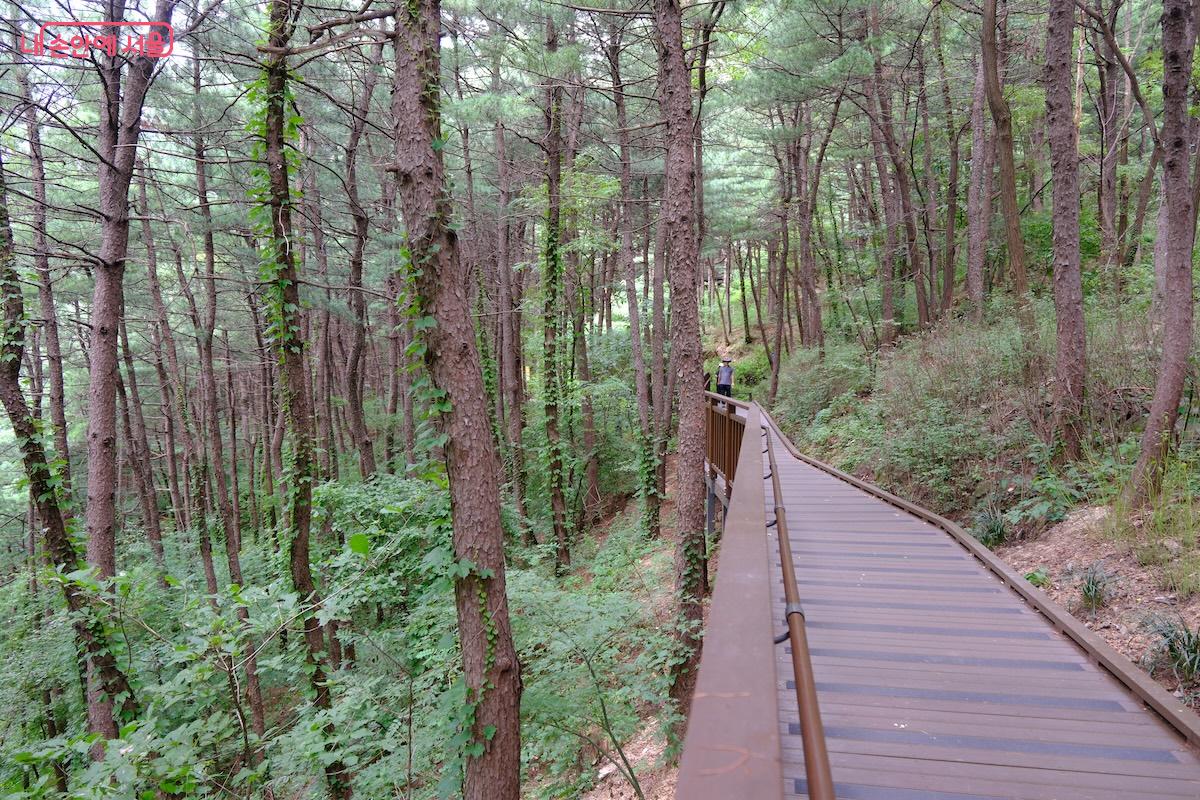 북한산 자락길의 장점은 높은 곳으로 가지 않아도 산을 온전히 느낄 수 있다는 점이다. &copy;서지희