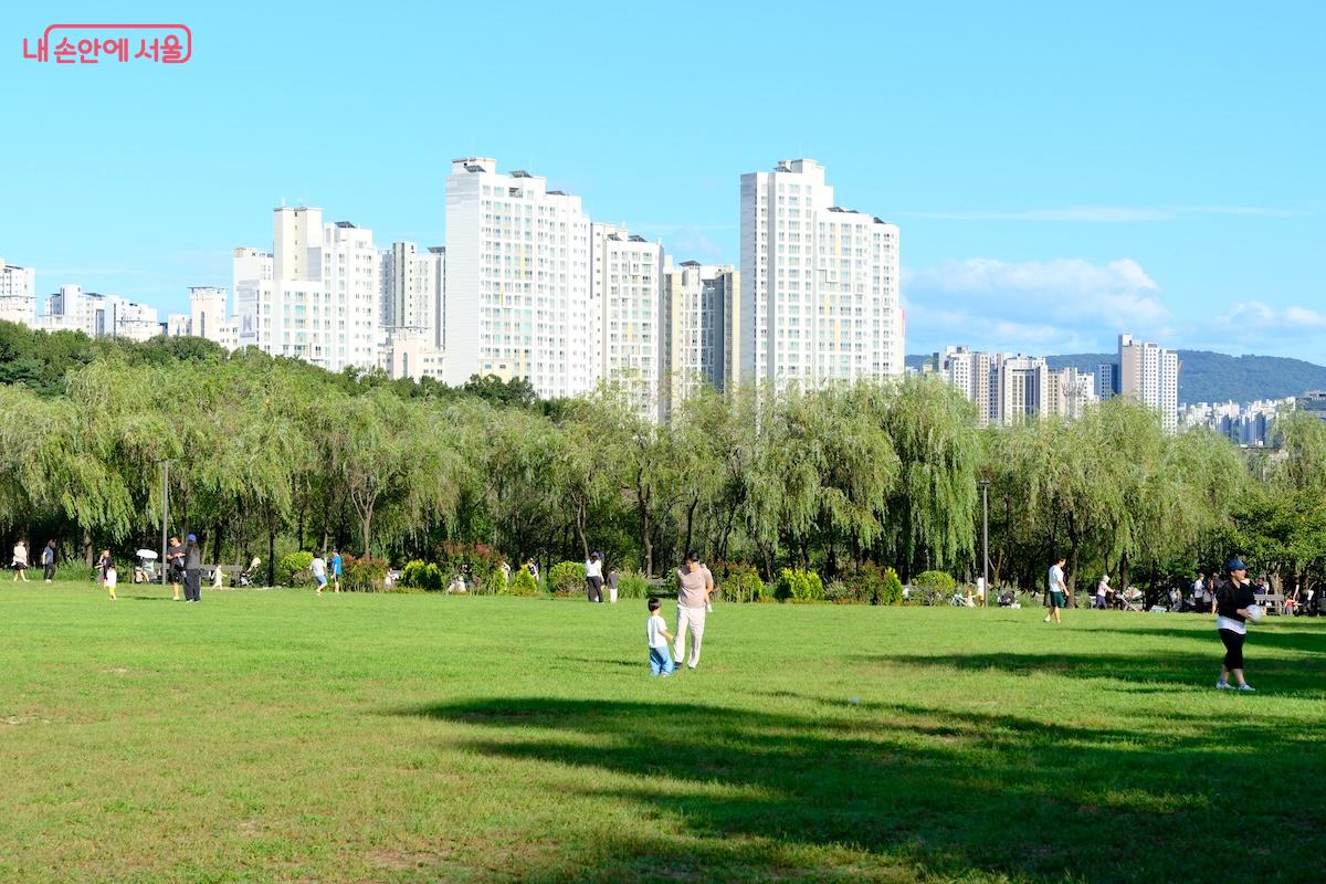 상상톡톡미술관 앞 잔디마당의 평화로운 풍경이 펼쳐진다. &copy;서지희