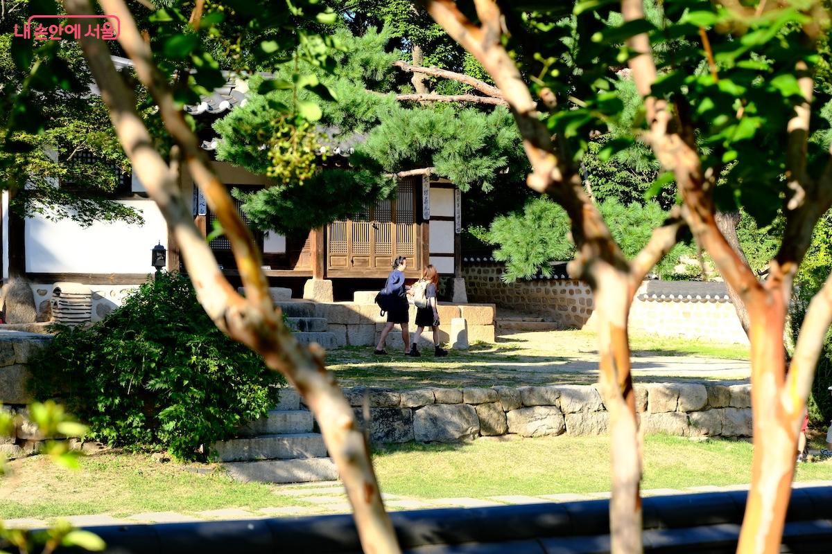 창녕위궁재사 담장 너머로는 언제나 멋진 사진을 담을 수 있다. &copy;서지희