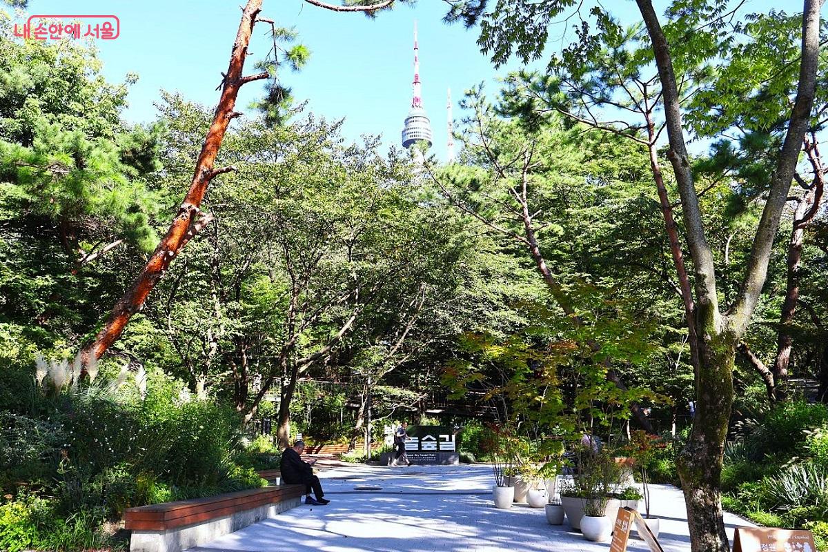 남산 하늘숲길이 시작되는 소월정원 &copy;김대진 