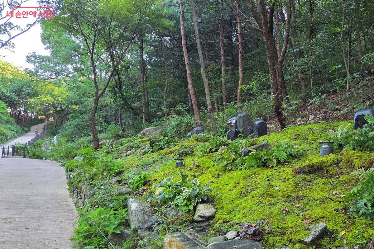 초록빛 이끼정원에서 자연의 조용한 숨결을 느껴본다. &copy;김미선