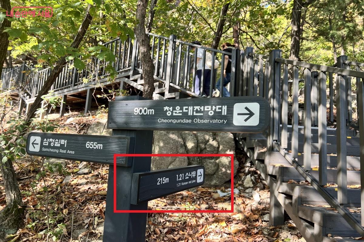 갈림길에서 1&middot;21 사태 소나무 방향으로 올라가야 한다. &copy;박지영