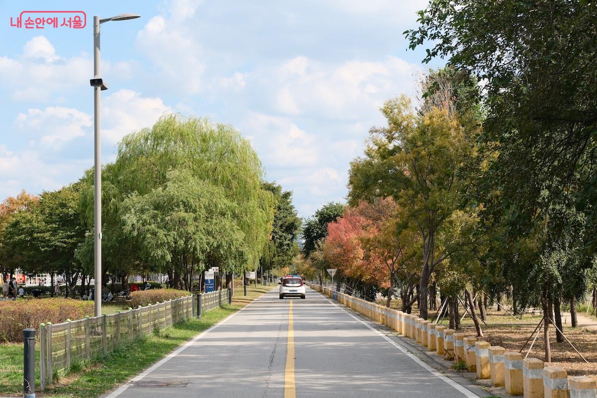 동서로 약 10km 가까이 공원이 형성 되어 있어 언제 들려도 질리지 않는 곳이다.
