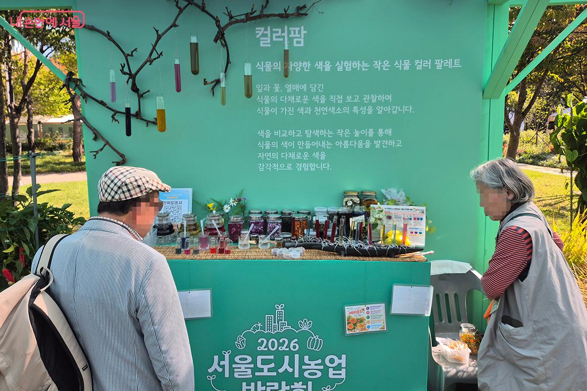 ‘컬러팜’에서 바라본 식물들의 색채는 보는 이의 감탄을 자아낸다.