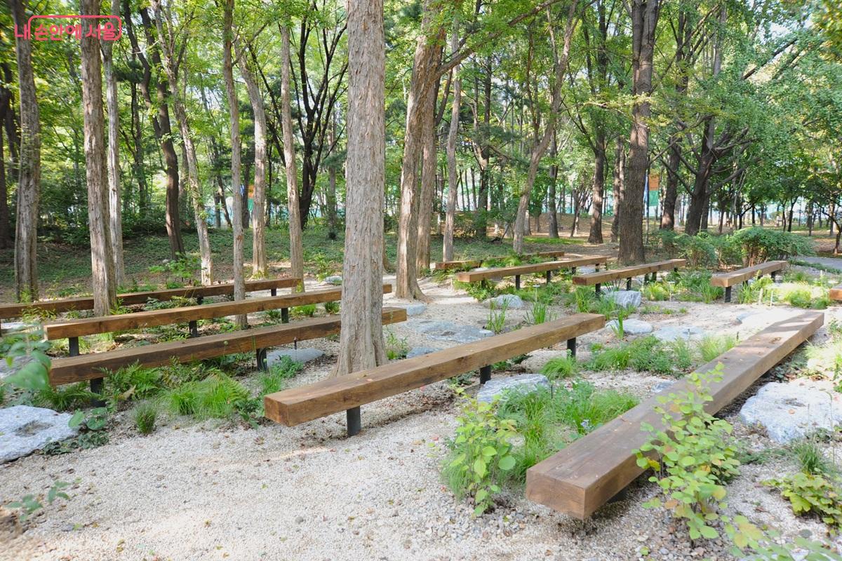 송재안 작가의 ‘벤치와 벤치 사이’ ©조수봉