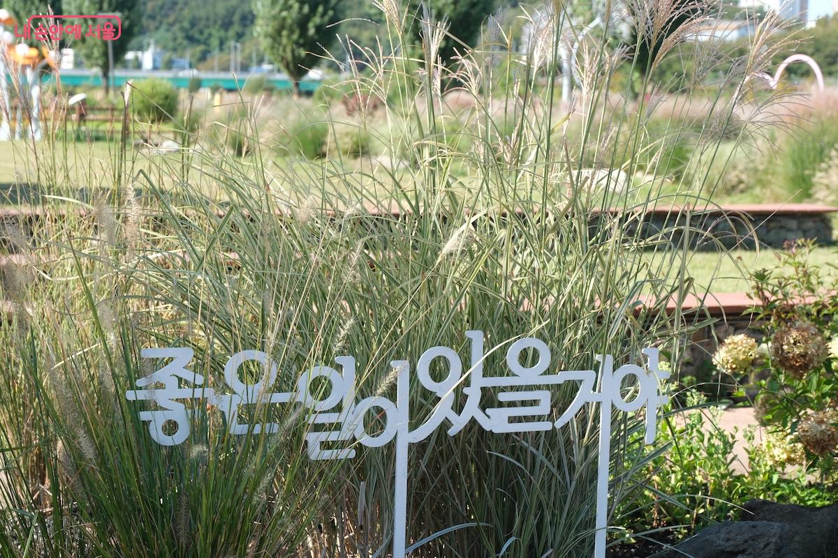 다양한 포토존이 확충 되어 자주 자주 들르고 싶은 느낌이 든다