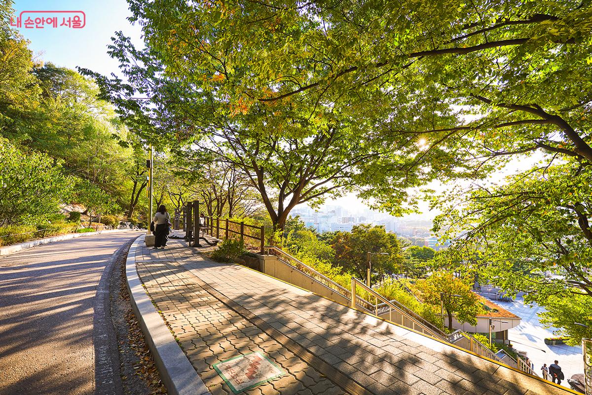조금씩 가을빛으로 물들고 있는 낙산공원의 풍경 ©김주연