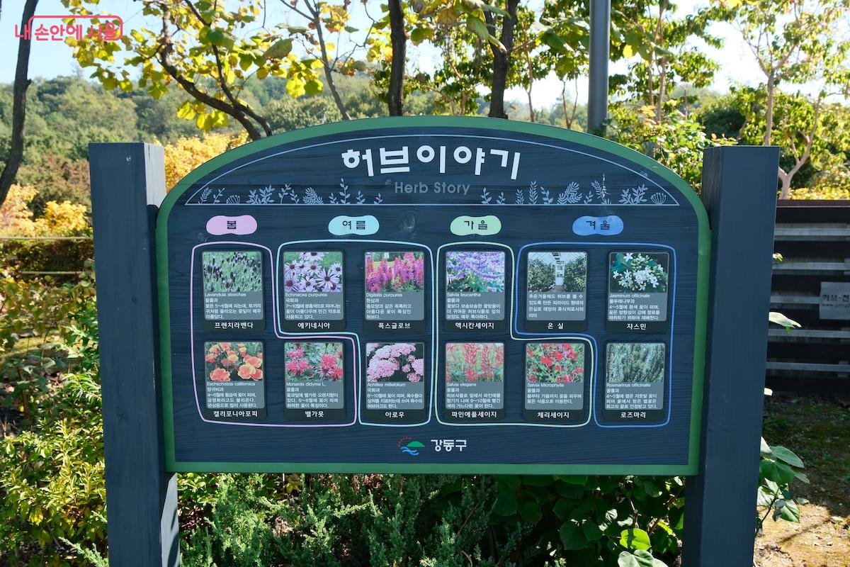 허브에 익숙하지 않은 시민들과 관광객들을 위해 가이드를 설치해 놓은 모습 &copy;서지희