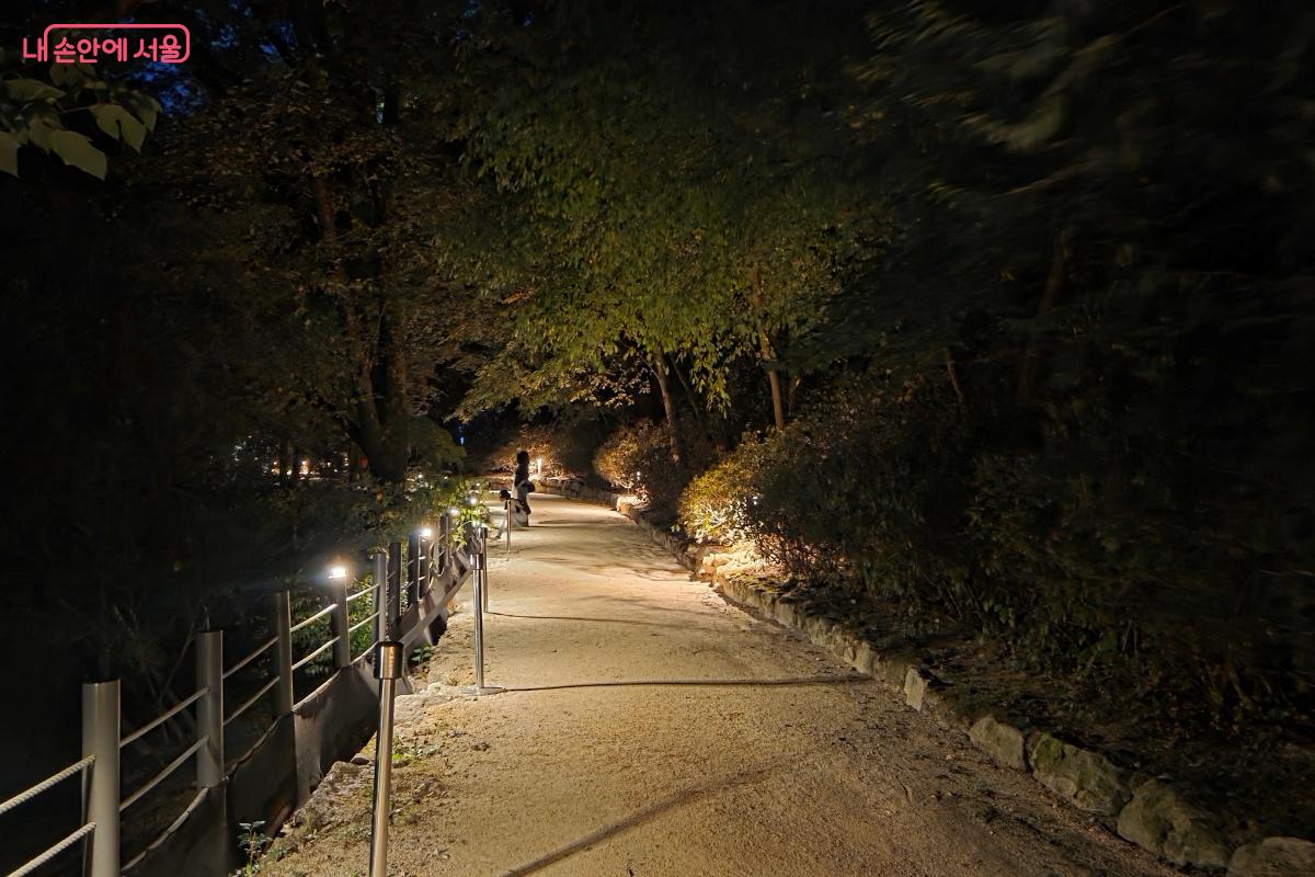 어둠이 내렸지만, 산책로의 조명은 밝은 빛을 비춘다. &copy;김미선