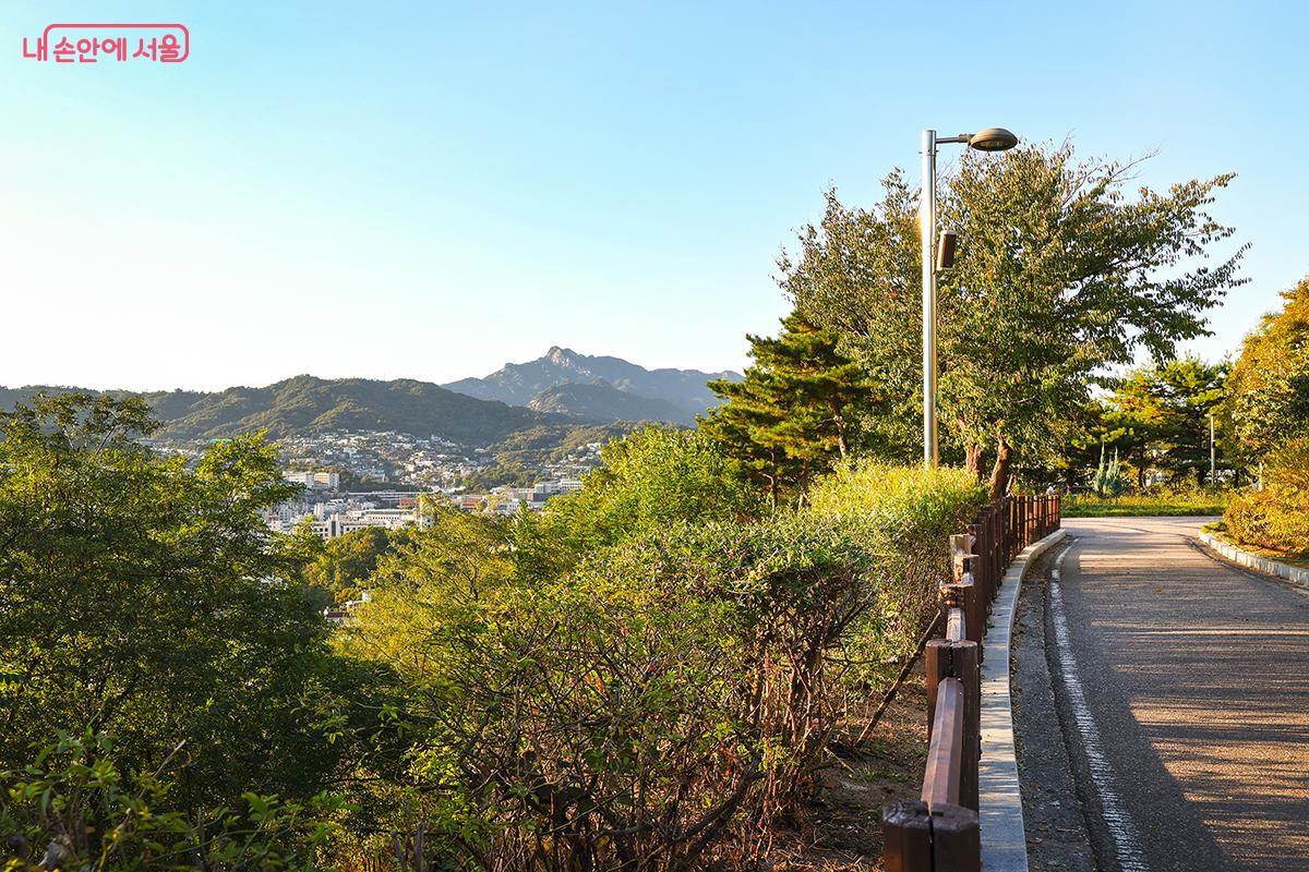 깊어지는 가을, 낙산공원과 도성 산책로에서 여유로운 산책을 즐겨보자. ©김주연