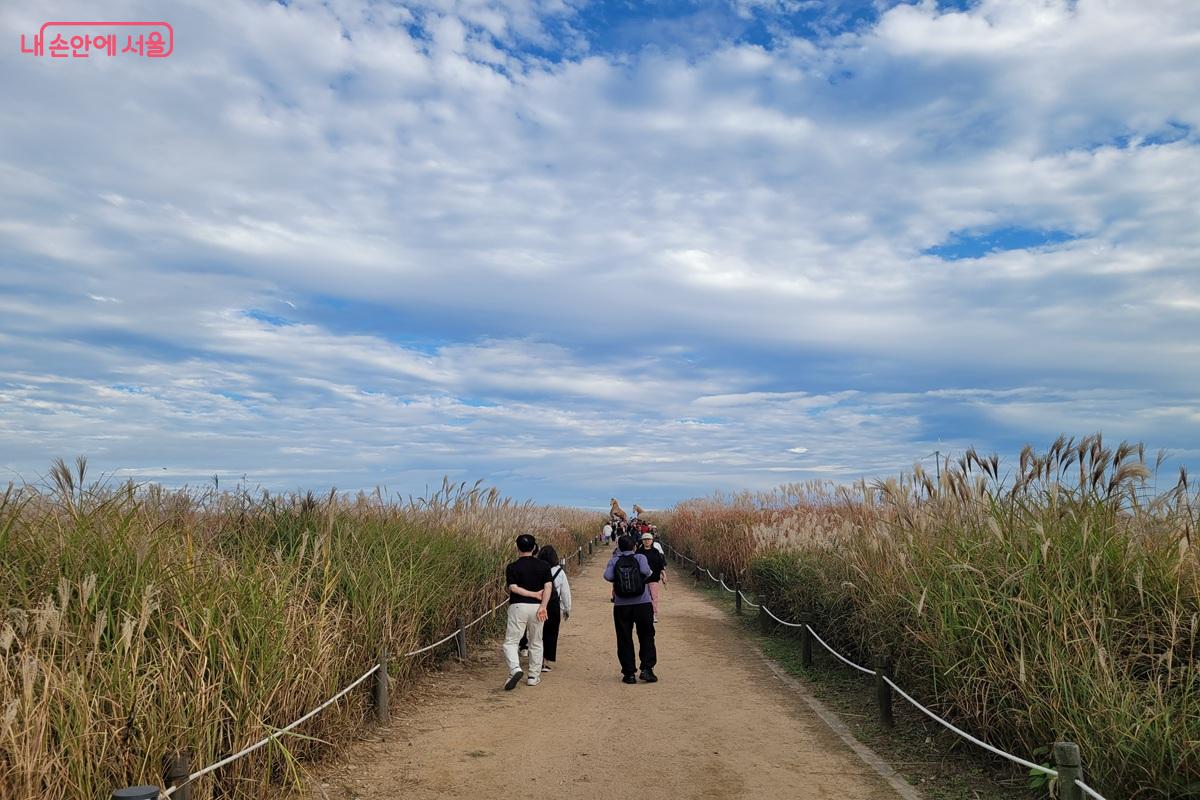억새가 우거진 흙길을 두 사람이 걸어가고 있으며, 머리 위로 구름 낀 푸른 하늘이 펼쳐져 있다.