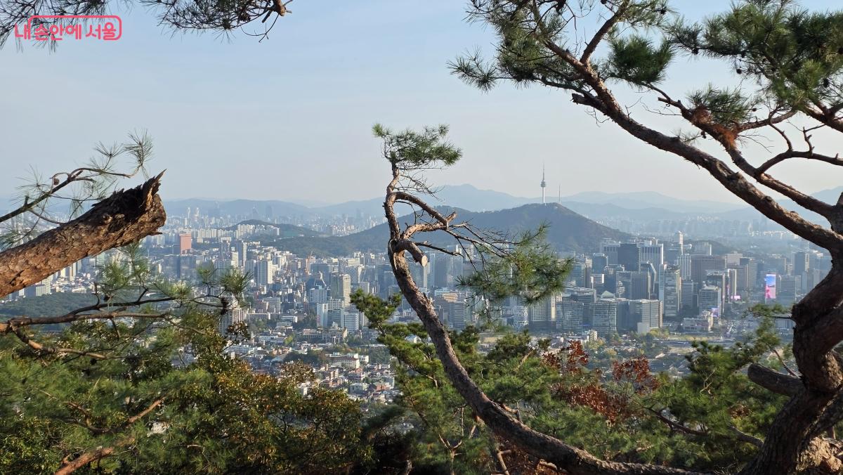 새롭게 단장한 청운대 쉼터 전망대에서 바라본 시내 풍경 ©최용수