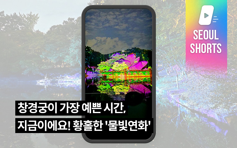 창경궁이 가장 예쁜 시간, 지금이에요! 황홀한 '물빛연화'