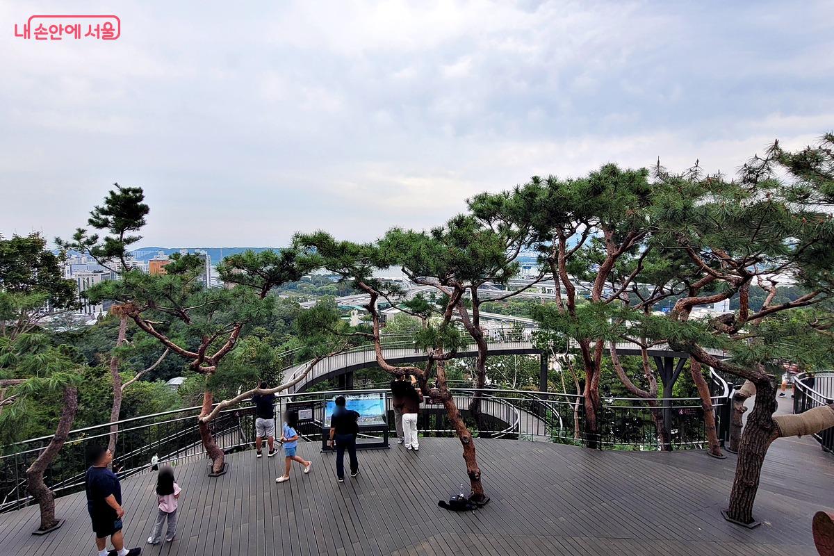 용왕산 스카이워크 용왕정 앞 &copy;김민지