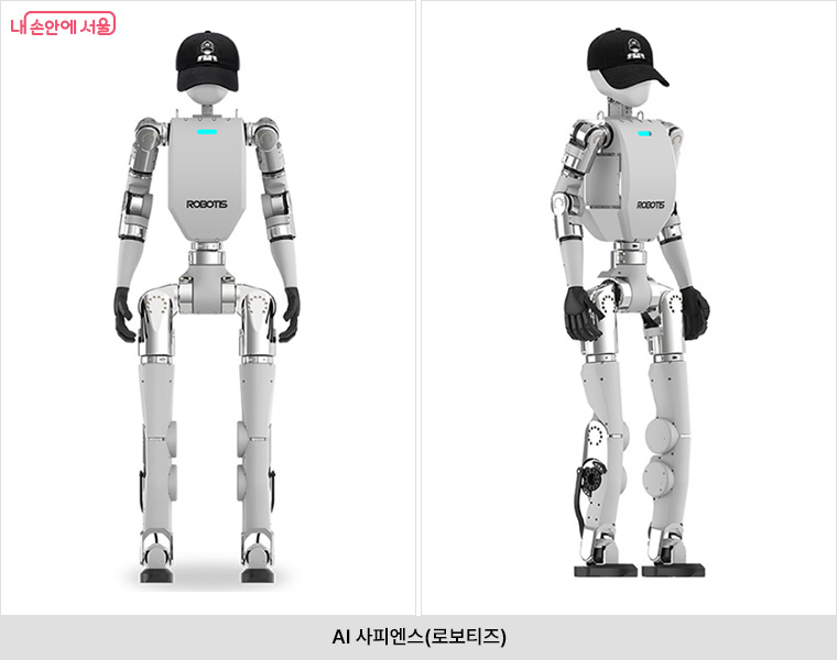 AI 사피엔스(로보티즈)