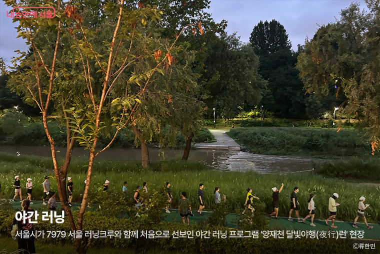 야간 러닝 - 서울시가 7979 서울 러닝크루와 함께 처음으로 선보인 야간 러닝 프로그램 '양재천 달빛야행(夜行)런' 현장