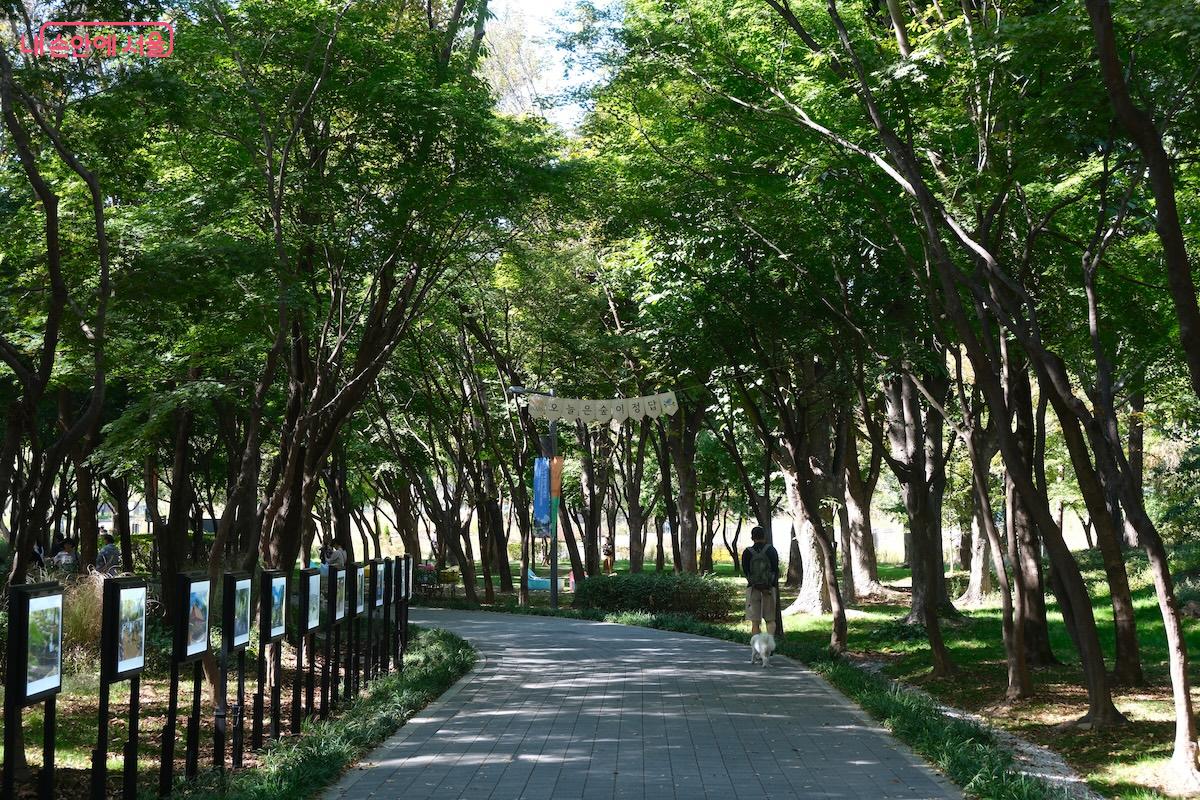 공원 곳곳에 포토존이 많아 다양한 산책로를 자세히 돌아보는 것을 추천한다.