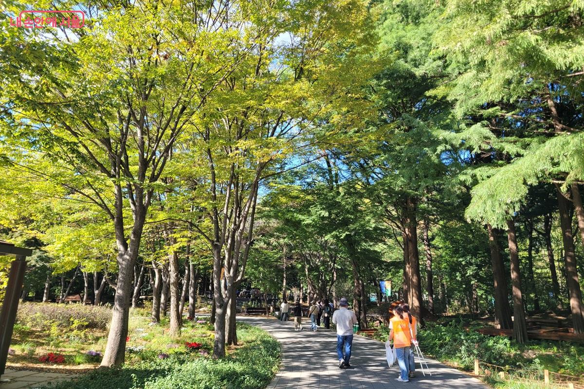 오랜 시간 자란 나무 아래 정원이 더해진 매헌시민의숲 산책길 ©조연