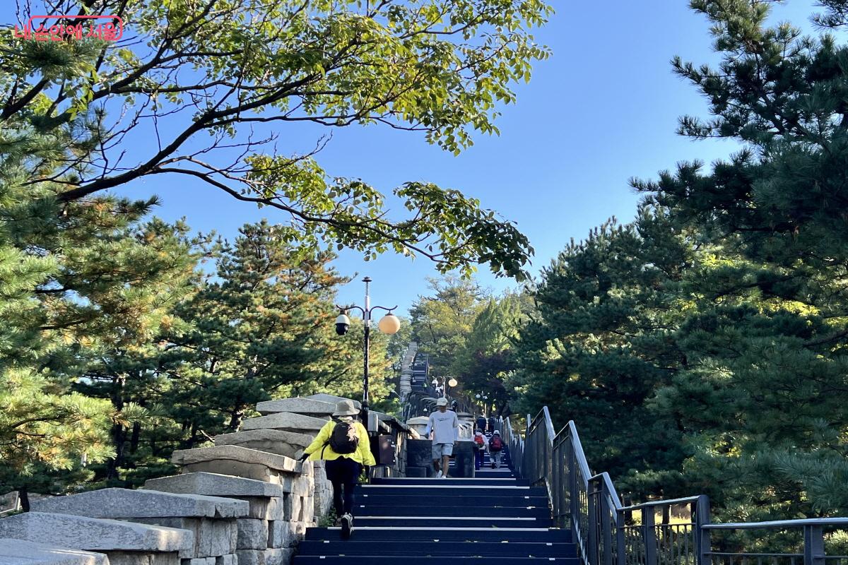돌고래쉼터는 창의문 안내소에서 올라야 더 가깝다.  &copy;박지영