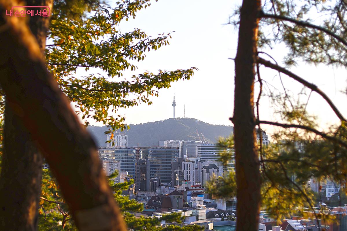 가을 햇살 사이로 바라본 N서울타워 ©김주연