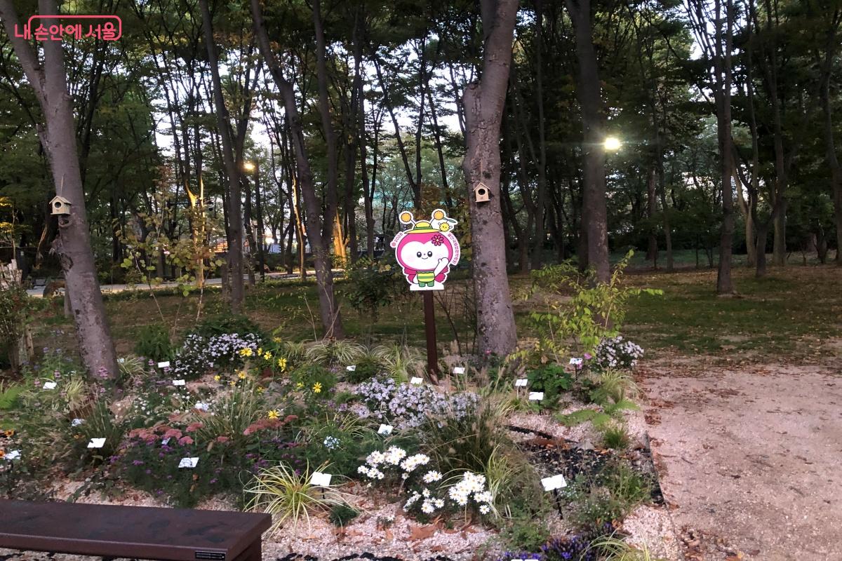 곳곳에서 시민들이 만든 50여 개의 정원을 만나볼 수 있다. &copy;박단비