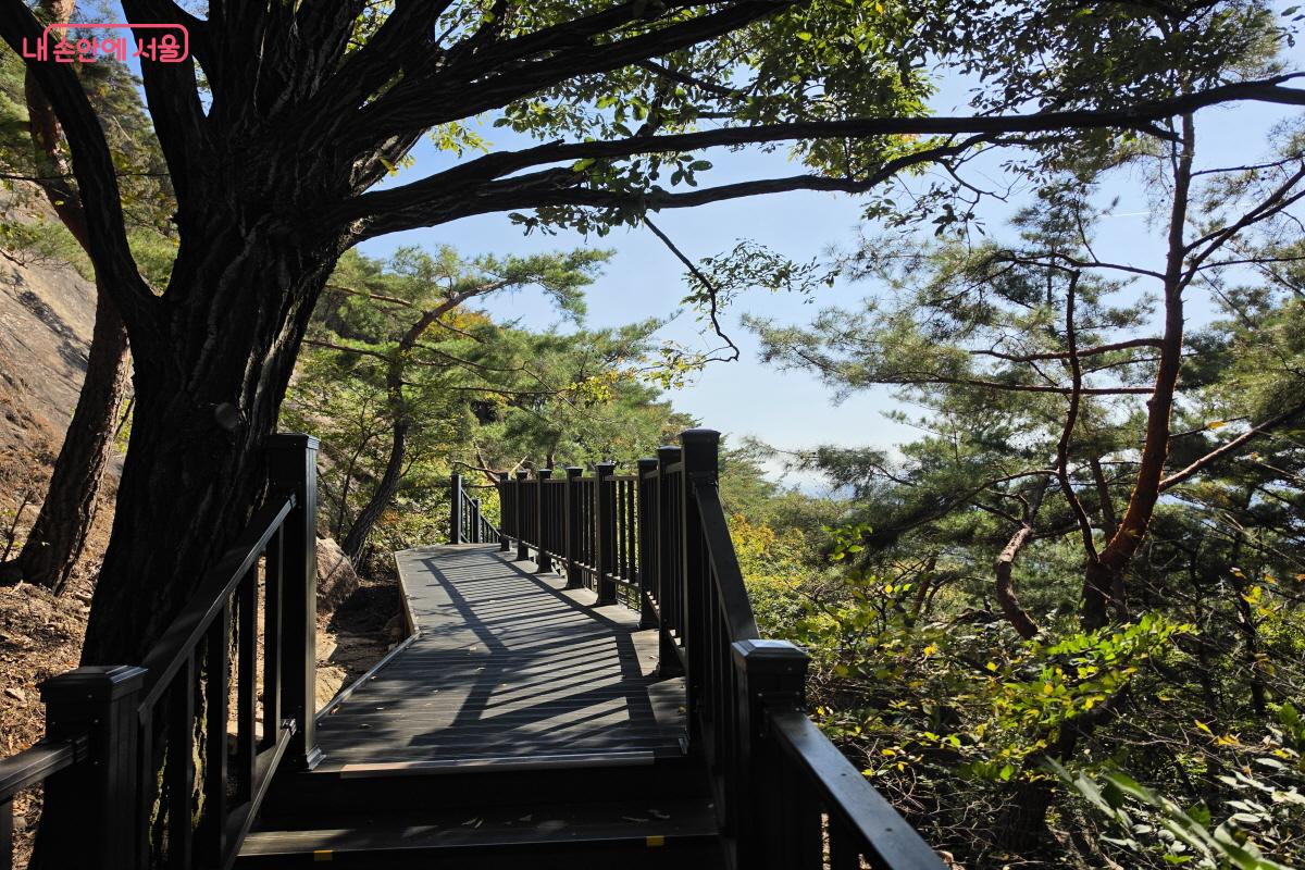 새롭게 열린 탐방로에서는 백악산의 자연을 한층 가까이 만난다. ⓒ조수연