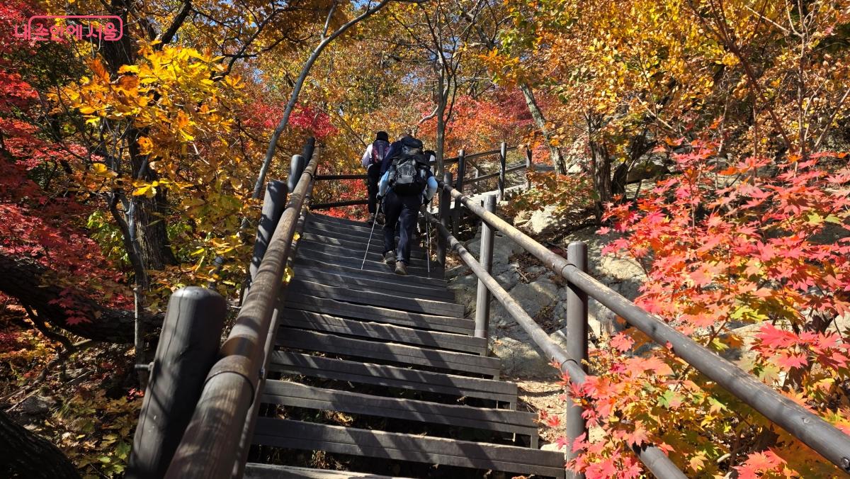 북한산 고지대 단풍은 10월 말 절정을 맞을 것으로 예상된다. ⓒ 최용수