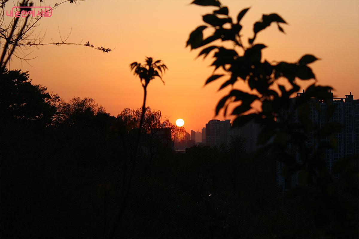 용양봉저정공원은 일몰을 볼 수 있는 포토스팟이기도 하다. ©이다현