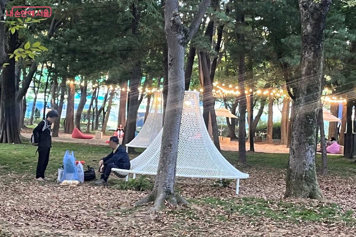 도심 한가운데서 만나는 숲속 휴식, 매헌시민의숲의 또 다른 매력이다. ⓒ 김연희