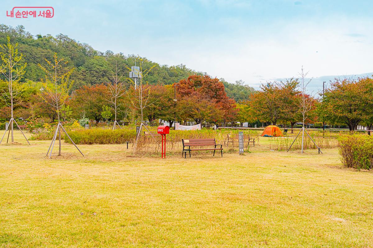 난지한강공원에서 피크닉을 즐길 수 있다. &copy;김지연