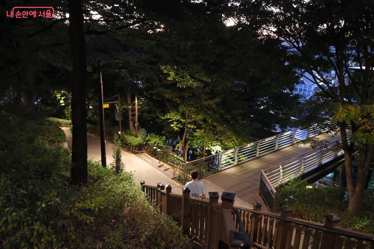 가볍게 산책을 즐기거나 반려견을 동반한 지역 주민들도 많이 보였다.