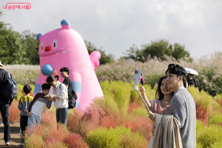 억새밭