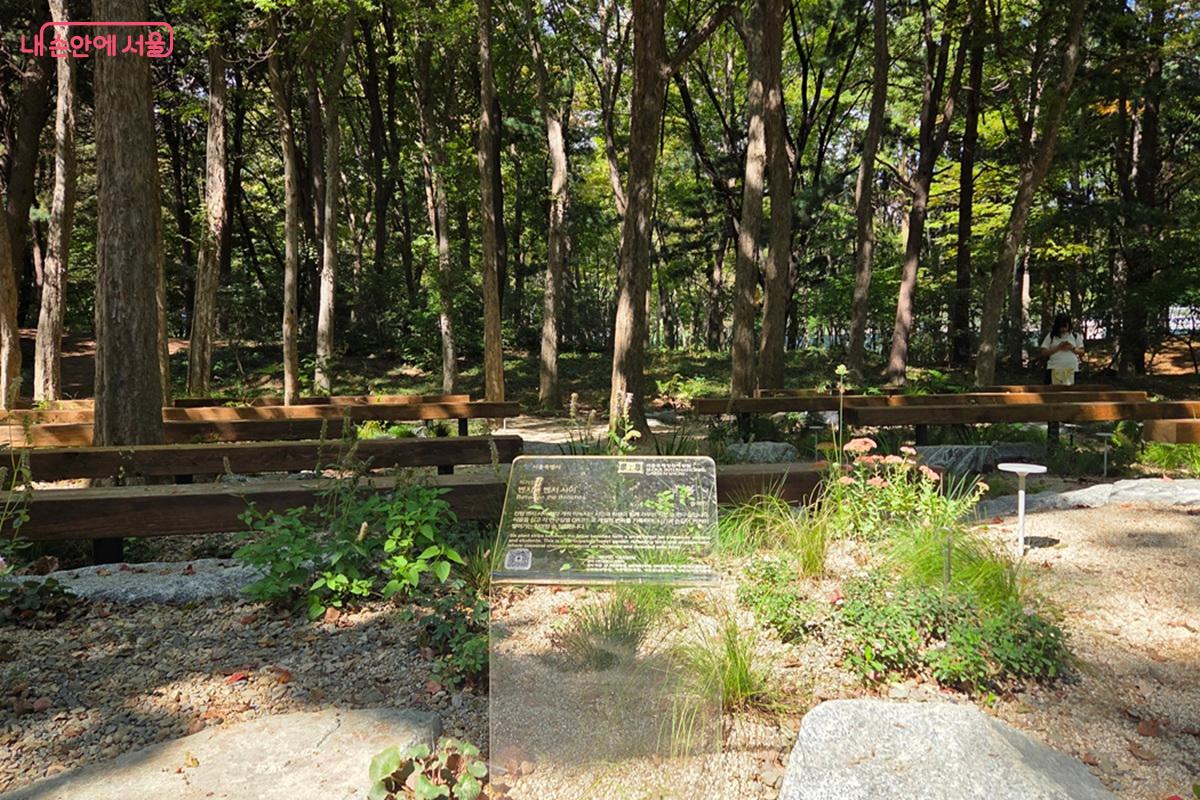 작가정원 금상을 수상한 송재안 작가의 <벤치와 벤치 사이>
