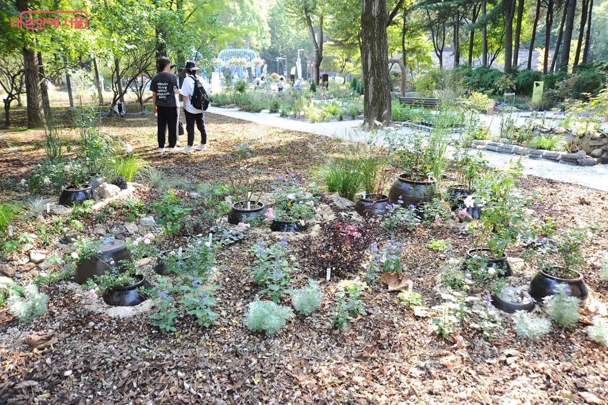 중랑구 마을정원사 작 &lsquo;함께 빚는 행복, 중랑&rsquo; &copy;조수봉