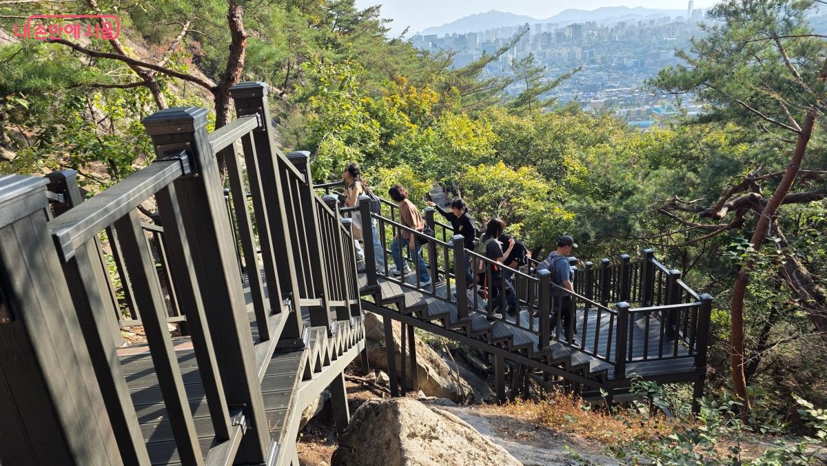 신규 개방 탐방로는 나무데크와 계단으로 조성되어 있다. ©최용수