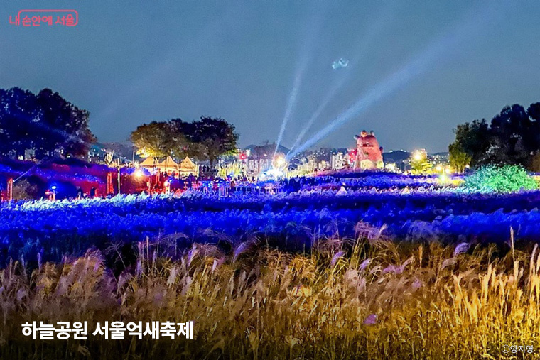 월드컵공원 하늘공원에서 열리는 서울억새축제에서는 10월 23일까지 매일 오후 7시~8시 30분 라이팅쇼가 펼쳐진다.