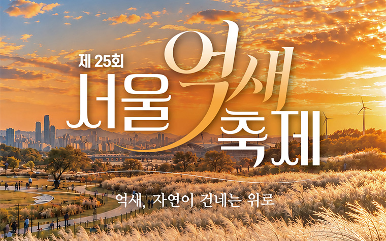 은빛 억새부터 라이팅쇼까지&hellip;놓치면 아쉬울 하늘공원 '억새축제'