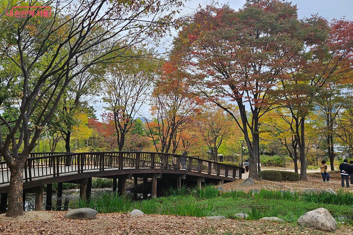 가을을 맞아 서울창포원의 나무들이 붉고 노란빛으로 물들고 있다. &copy;김진호